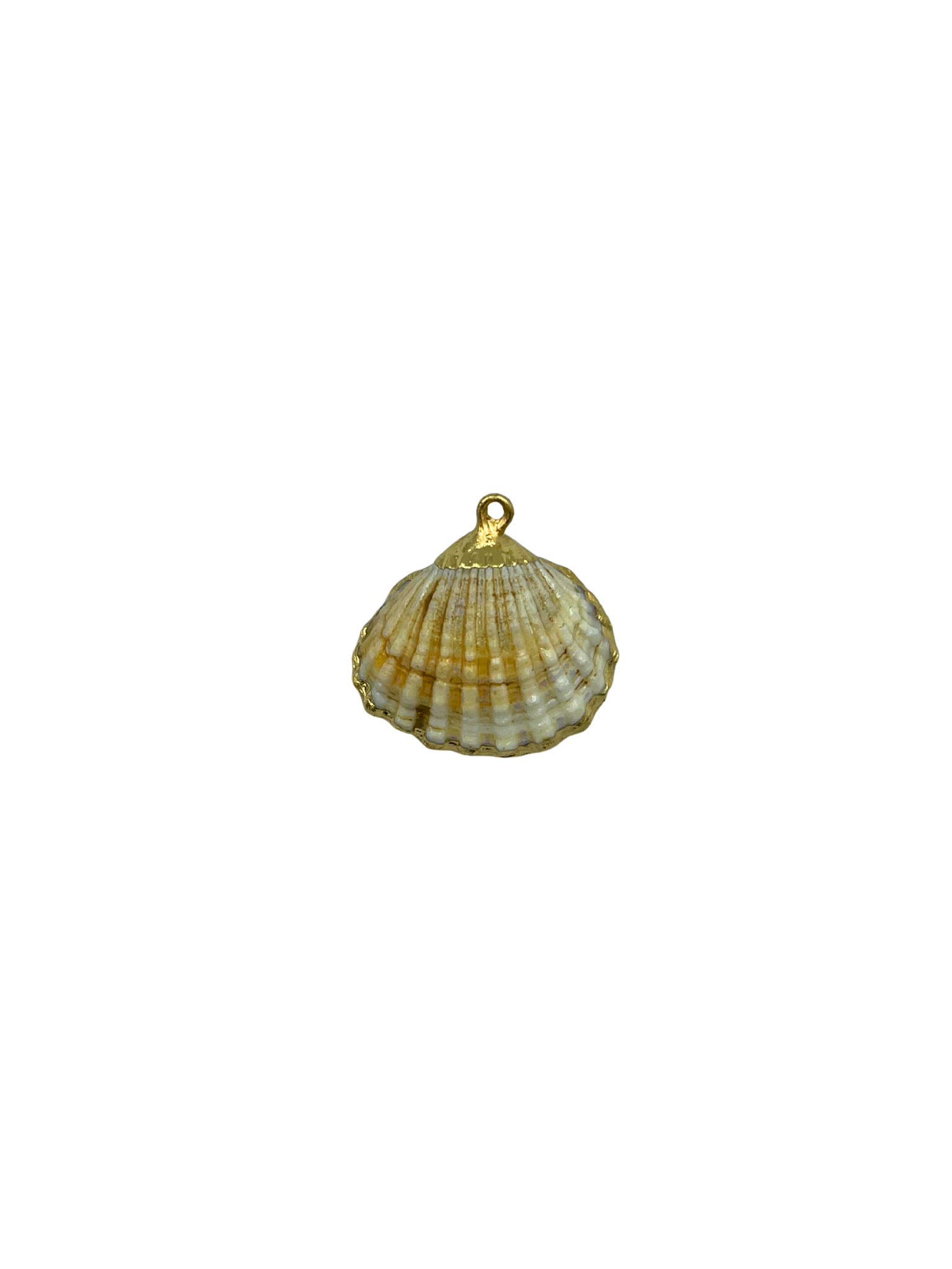 CHARM COQUILLAGE