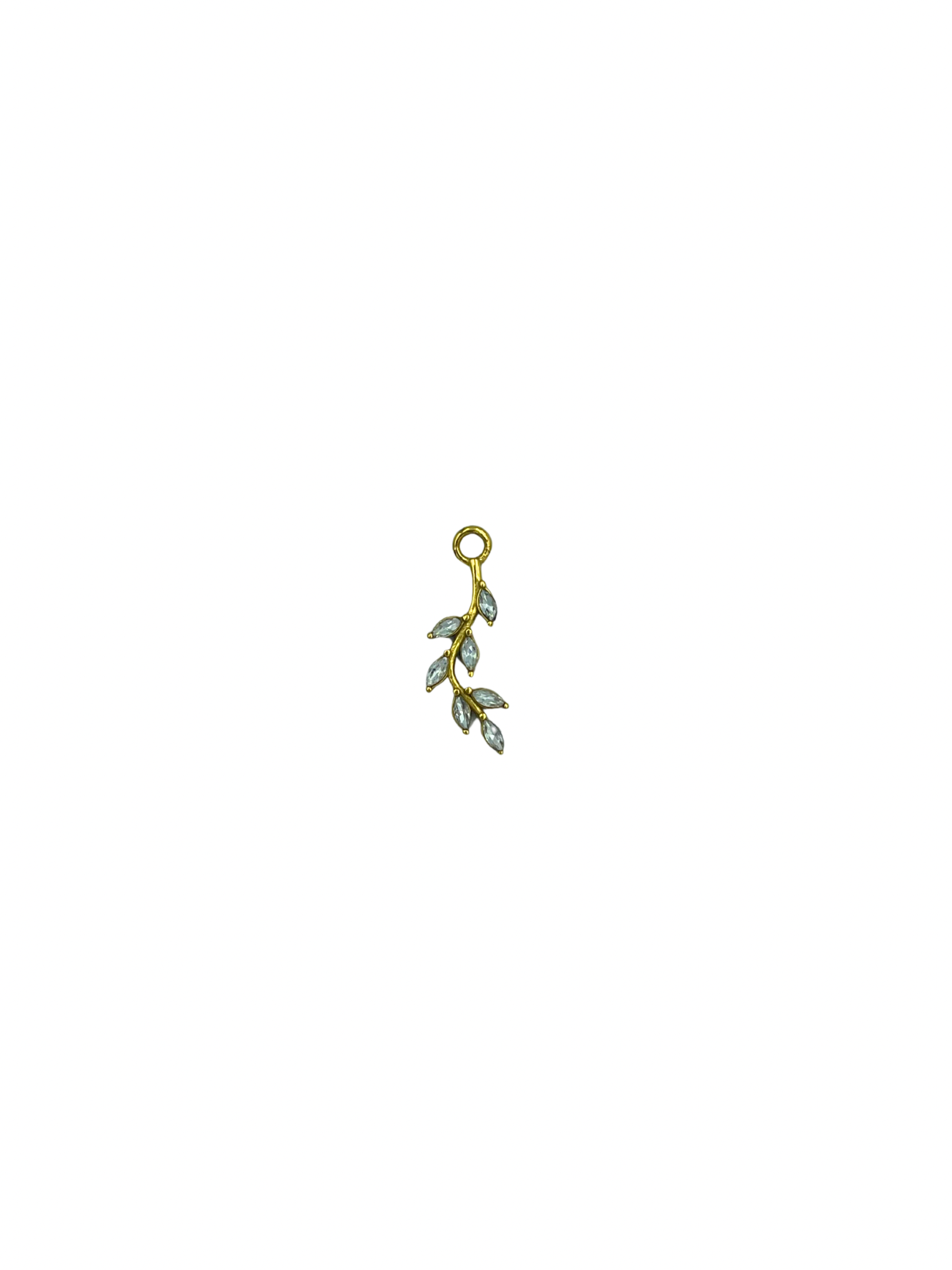 CHARM EPI